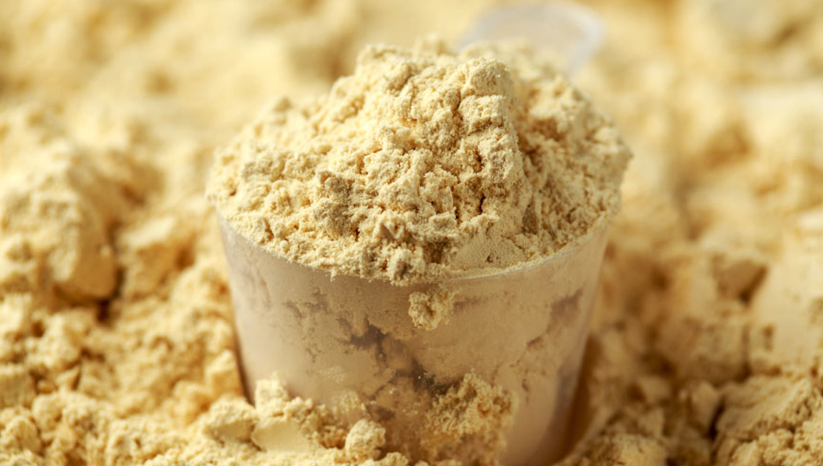 whey protein powder Archives - All About Nutrition, Training & Supplements