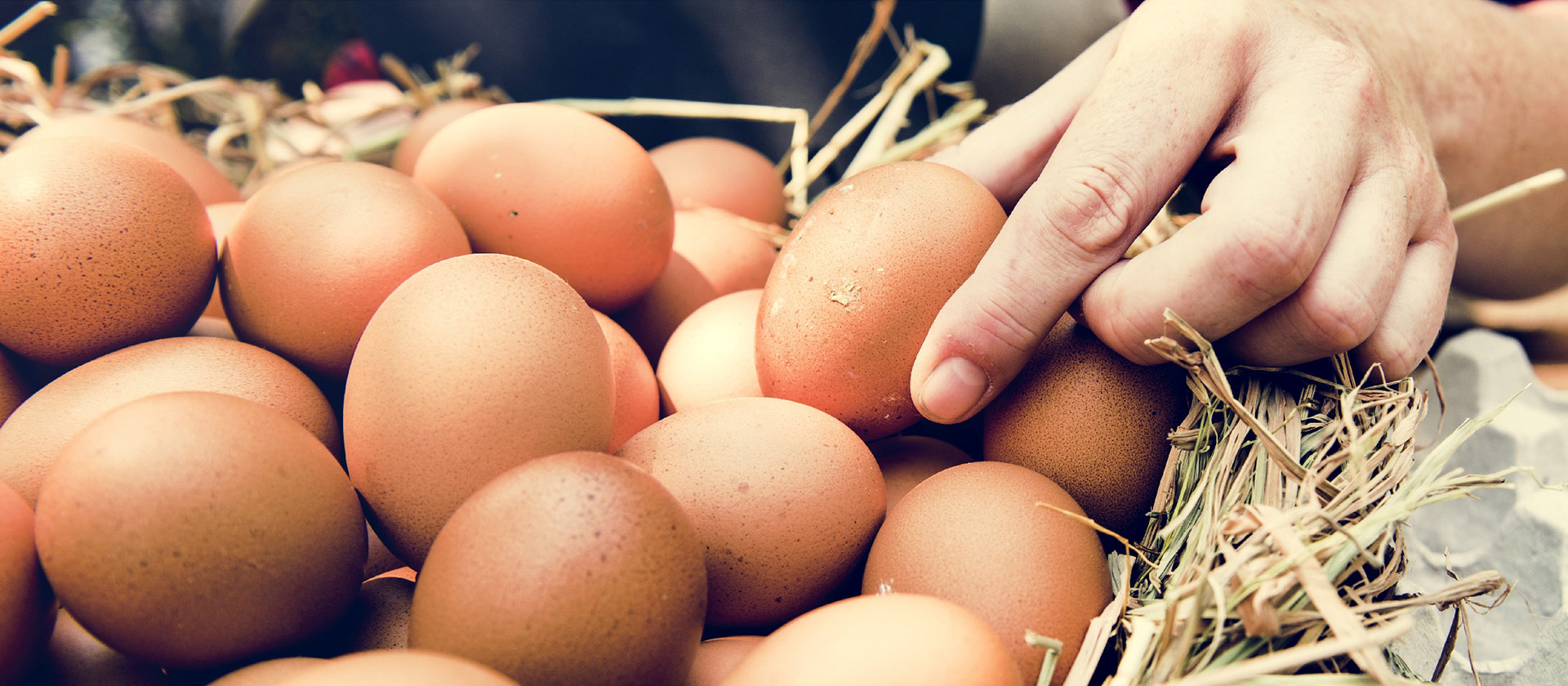 Are eggs beneficial for weight loss?